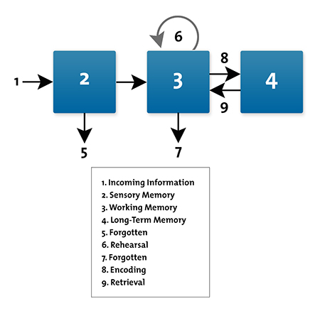 Cognitive Load Theory Example 2