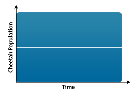 Systems Diagrams Diagram 10