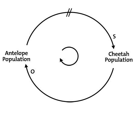 Systems Diagrams Diagram 9