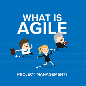 Agile Project Management Infographic